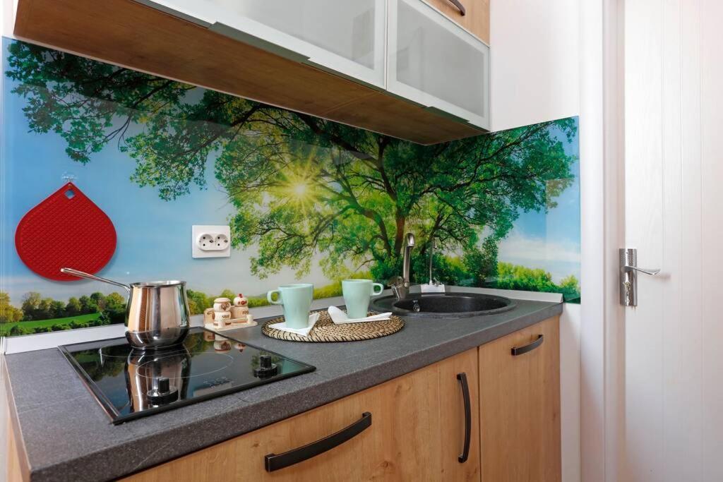 Apartament cu 1 dormitor