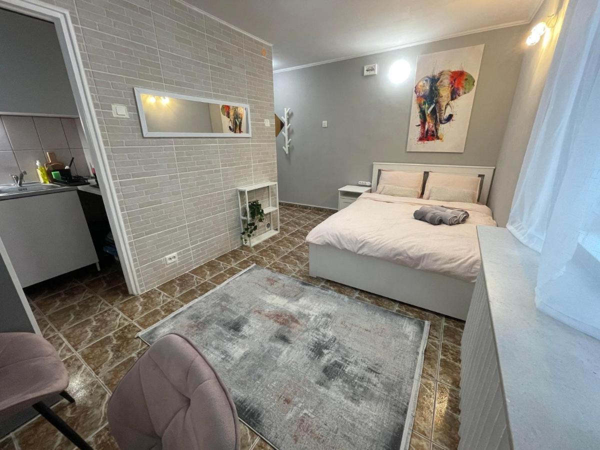 Apartament cu 1 dormitor
