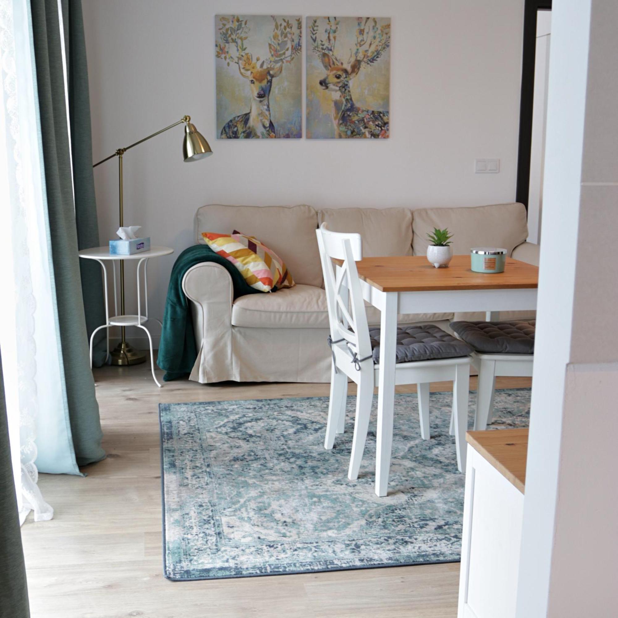 Apartament cu 1 dormitor