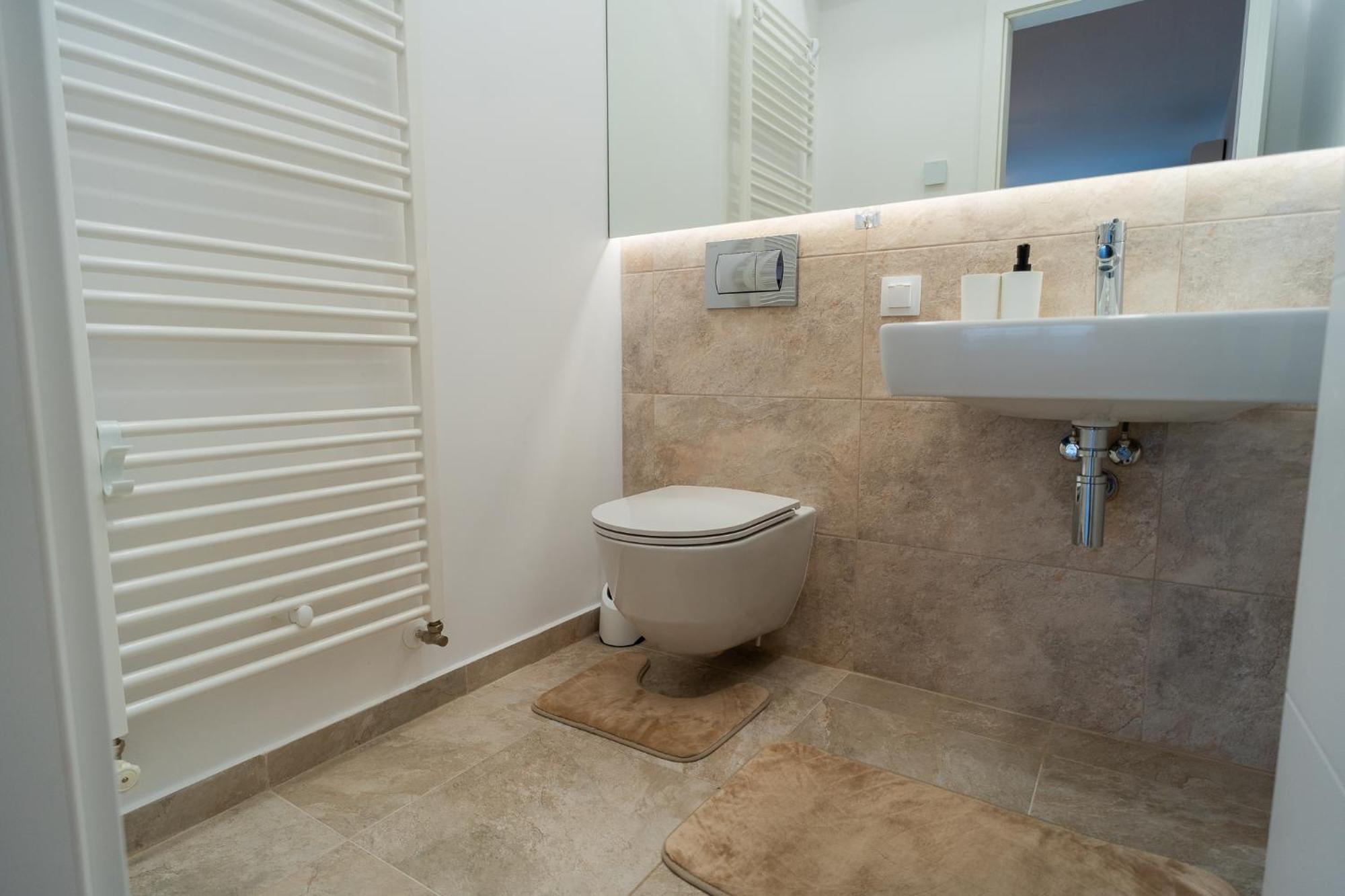 Apartament superior cu 1 dormitor şi balcon