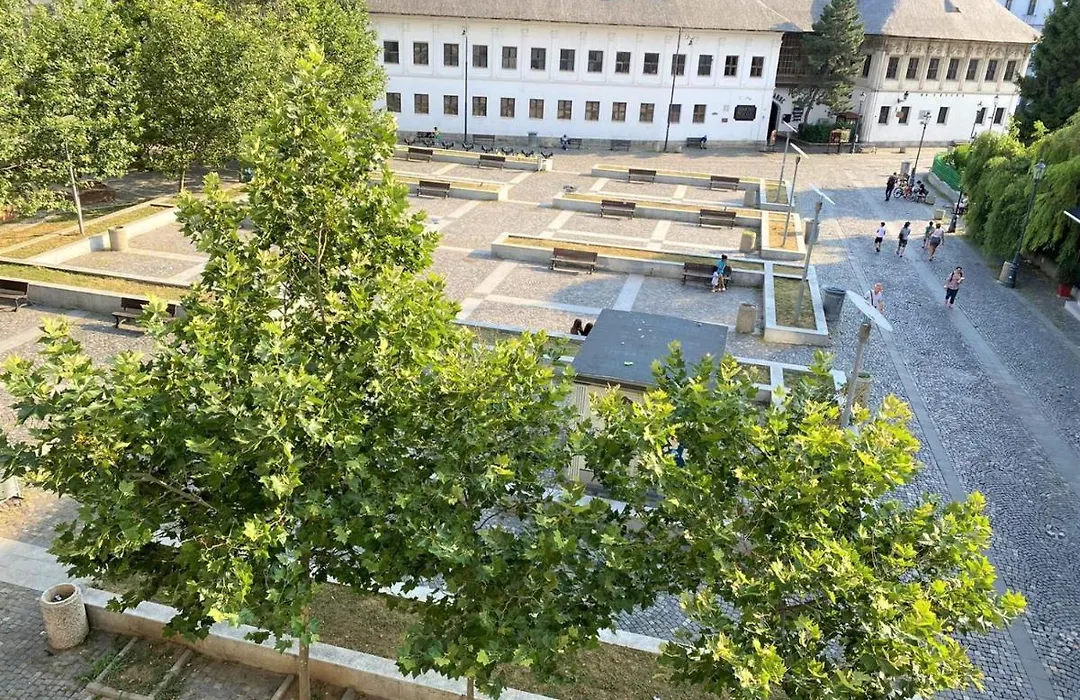 Central Old Town Studio-1