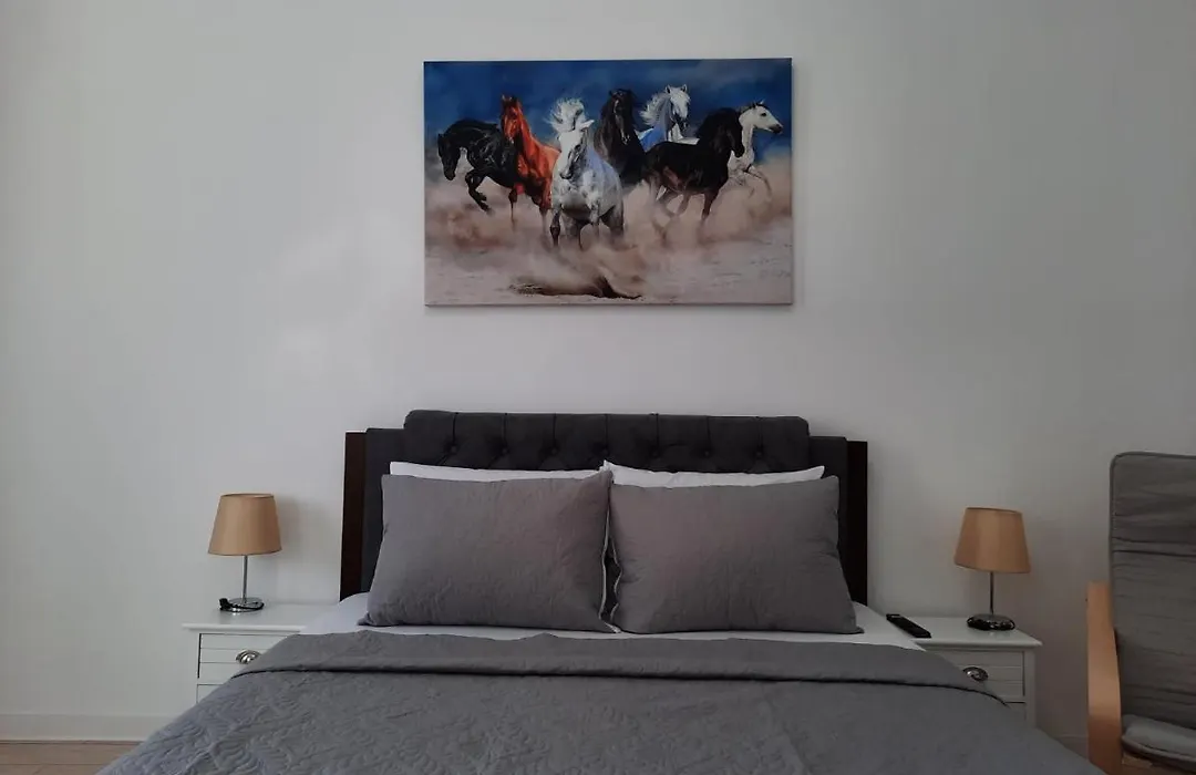 Luxury City Center Apartment - Garofita Romana-1
