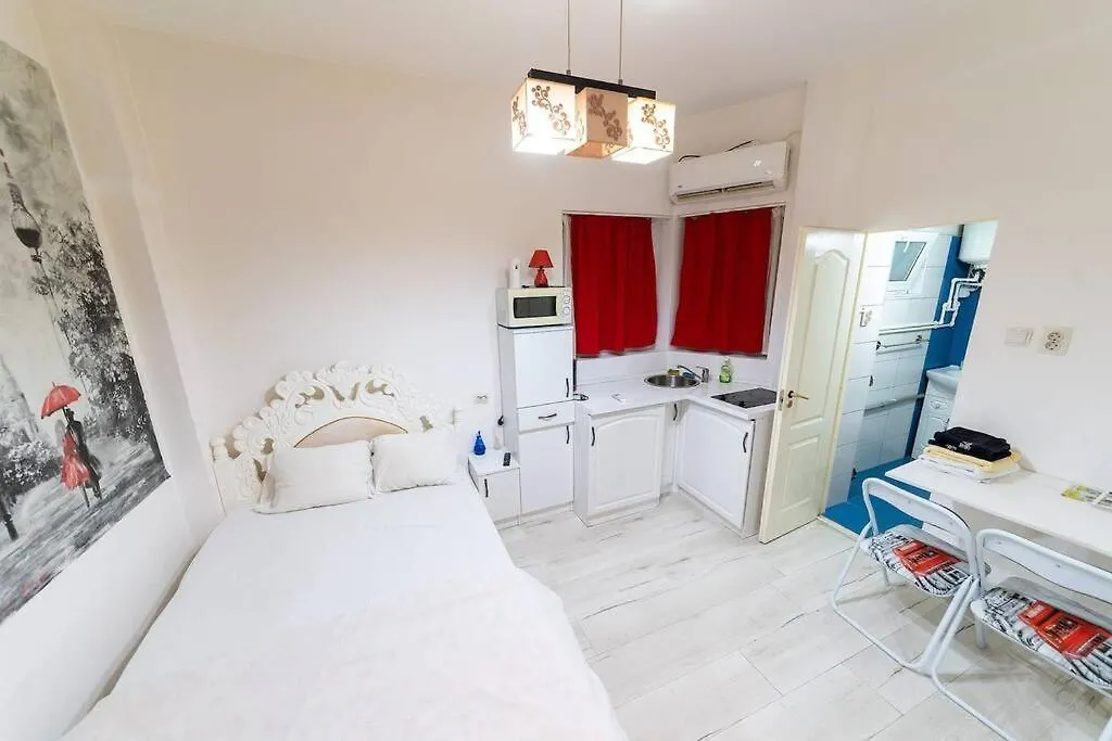 Cozybucharest Studio-1