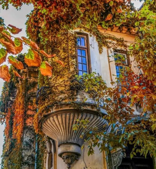 Charming Place Cotroceni-1