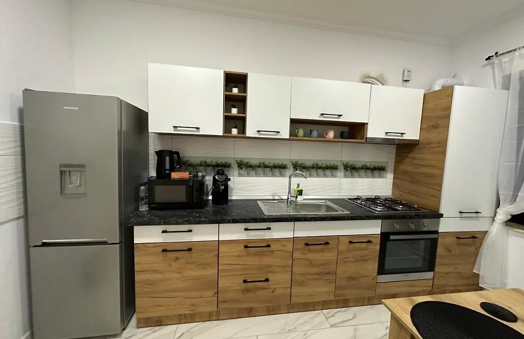 Golden Garden Luxury Apartment In Bucharest-1