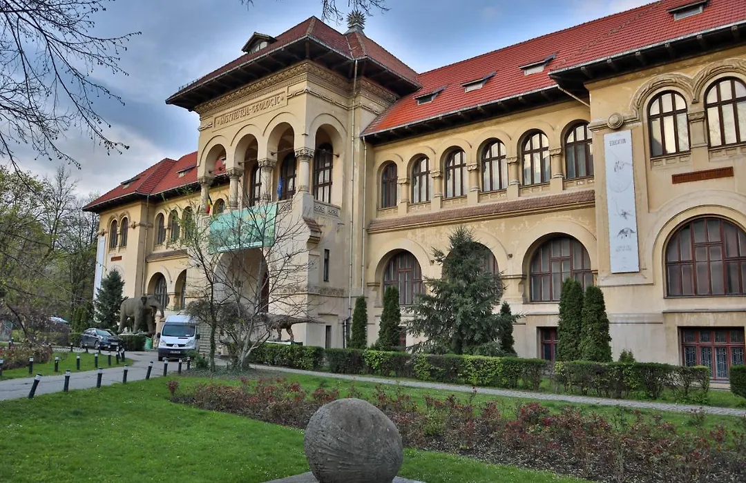 OAK Apartment - Piata Victoriei-1