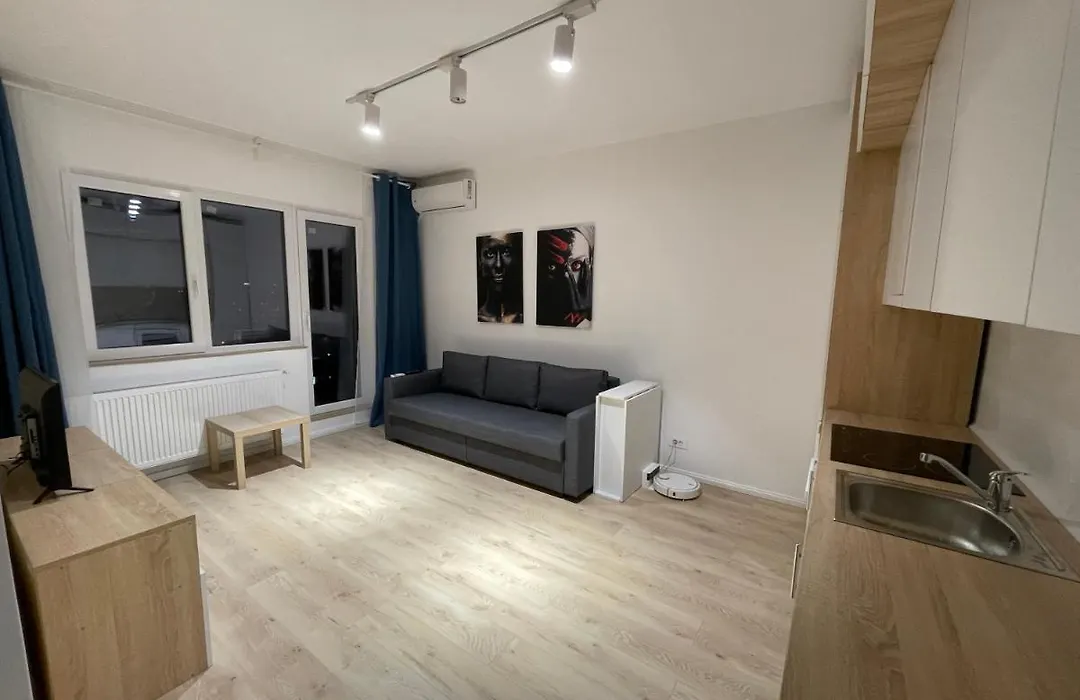 Treasure Luxury Apartment Palace-1