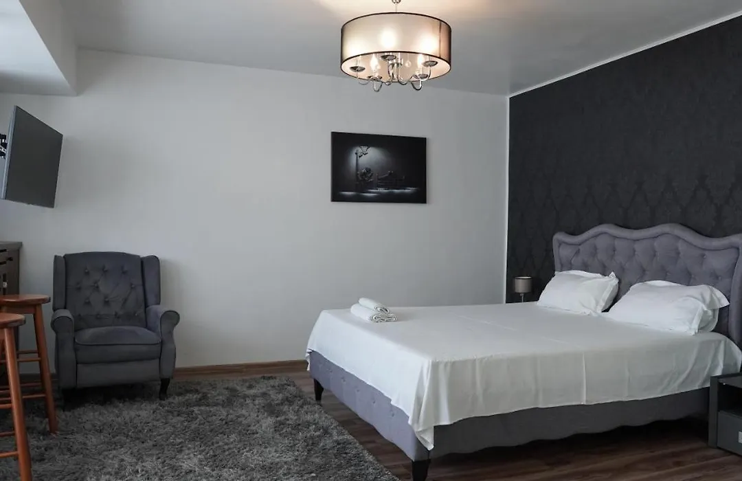 Luxury 1BR studio near Hanul Drumetului Bucharest-1