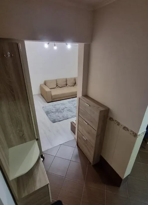 Mihaela Apartment-1