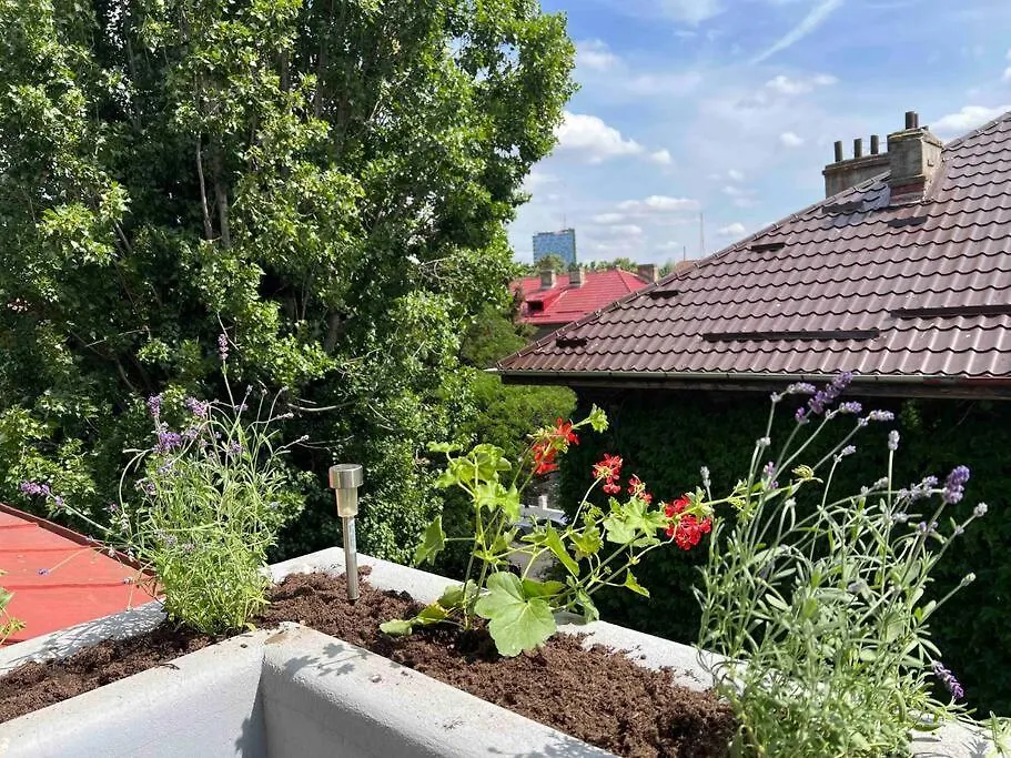 Loft Villa Floreasca-1