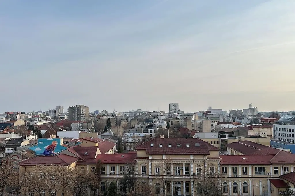 Studio Cozy Piața Victoriei-1