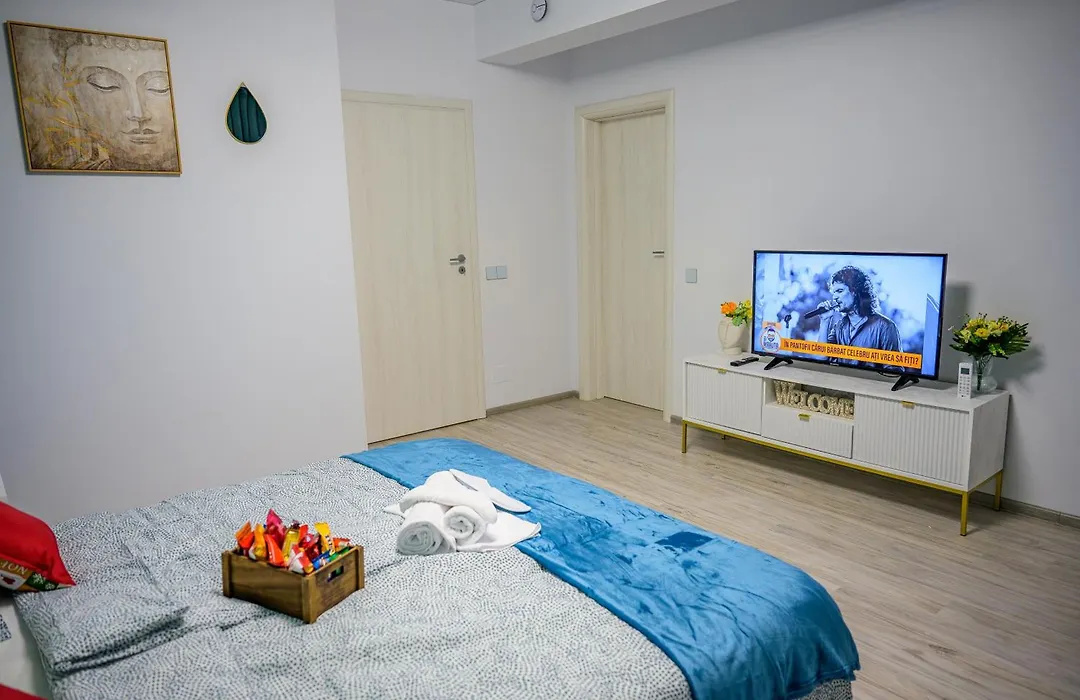 Fundeni Studio Modern-1
