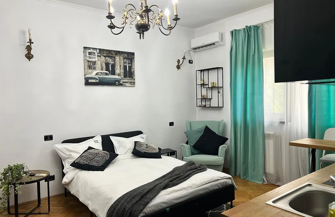 Studio Villa Floreasca-1