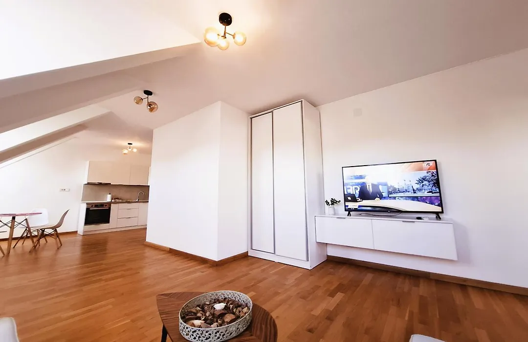 Bucharest Central F Apartment-1