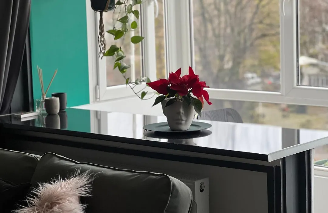 Cosy studio Floreasca-1