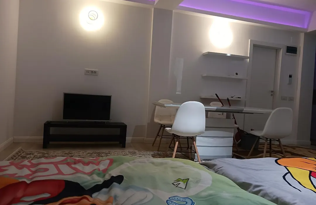 Myky Mouse nu primesc santieristi si petrecareti-1