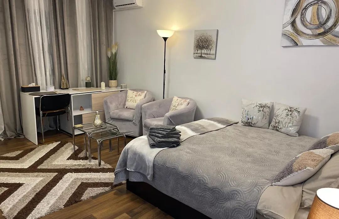 Studio cozy - Calea Moșilor-1