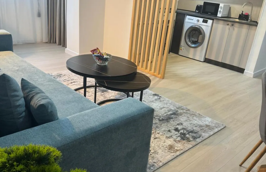 Cismigiu Bucharest Central 2 Bedrooms Apartment-1