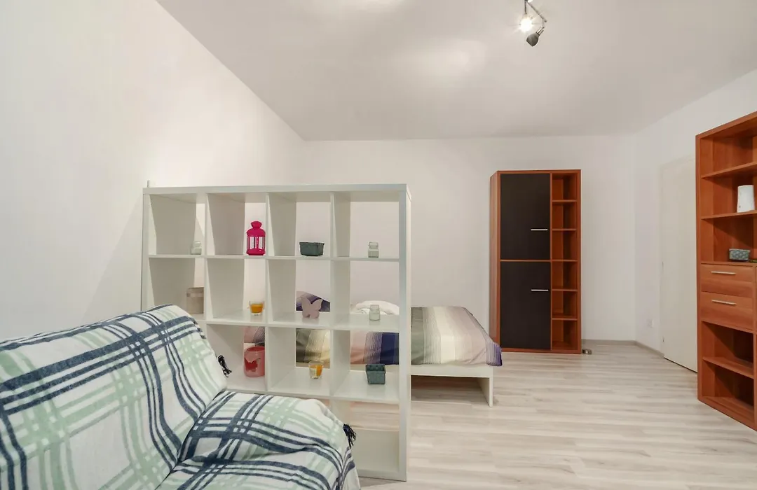 Bright Studio Close To Alba Iulia Square With Wifi-1