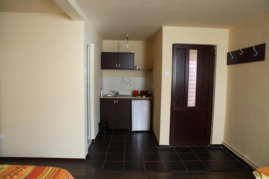 Titulescu Apartments-1