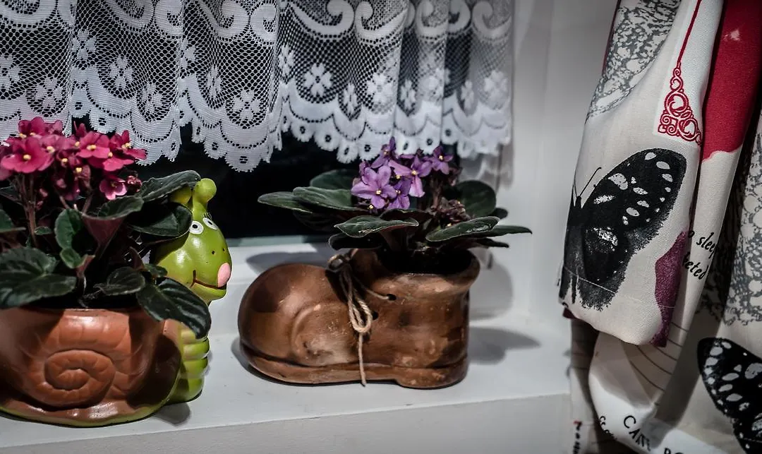 Nicola'S Home-1