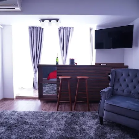 Luxury 1BR studio near Hanul Drumetului Bucharest-2