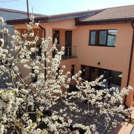 Home Naya-3