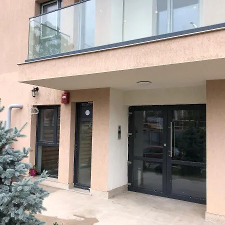 Fancy Penthouse Studio With Lakeview W10-2
