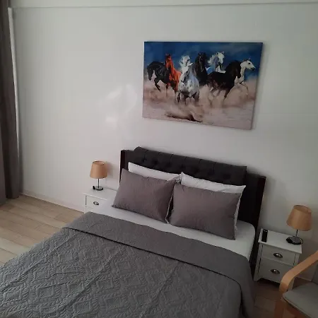 Luxury City Center Apartment - Garofita Romana-3