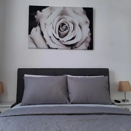 Luxury City Center Apartment - Garofita Romana-2