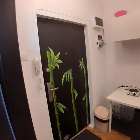 Best Apartament In Center-3