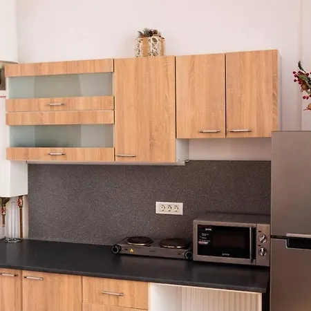 Classy Apartment Unirii Square-3