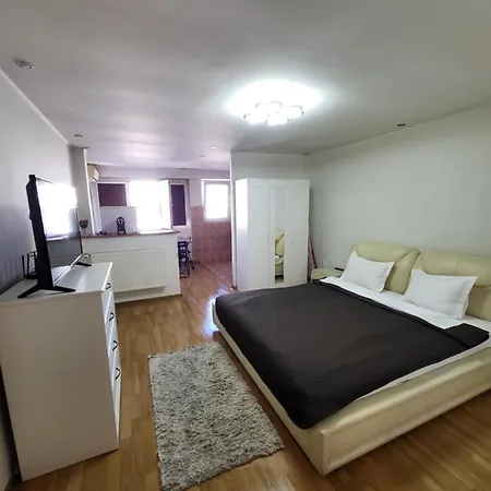 Avrig-Ferdinand Studio-3