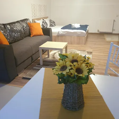 Apartment Villa-2