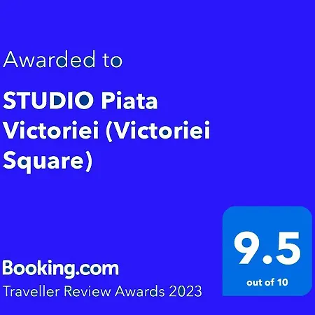 STUDIO Piata Victoriei (Victoriei Square)-3