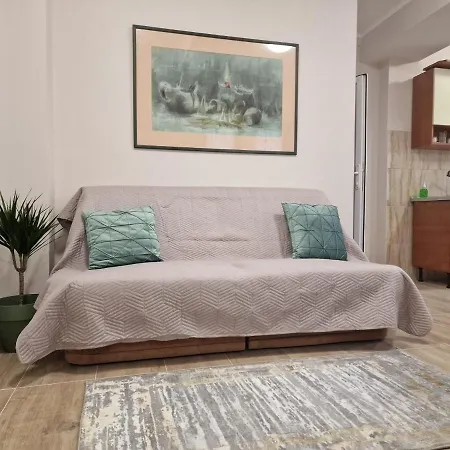 Laroka House Beautiful Apartment Universitate Center-3