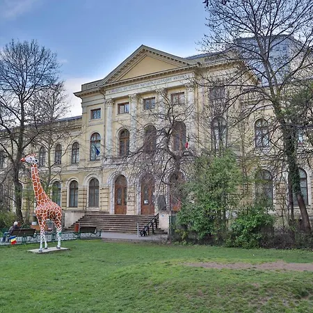 OAK Apartment - Piata Victoriei-2