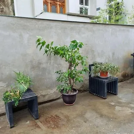 Cozy Apartment Near City Center-2