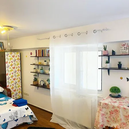Casa Andu-3