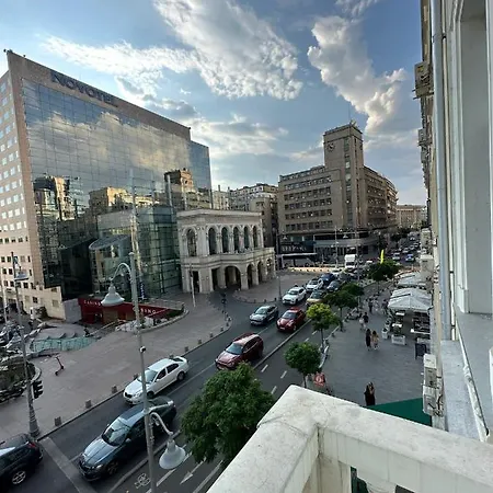 Oyster Flat Victoriei-2