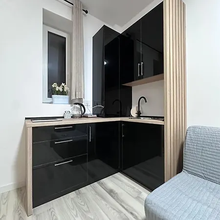 Cozy Black 1 Bedroom Apartment-2