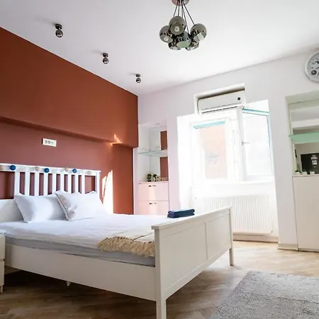 Cozy Studio Universitate-3