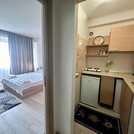 Downtown Studio Calea Victoriei Ultracentral-3