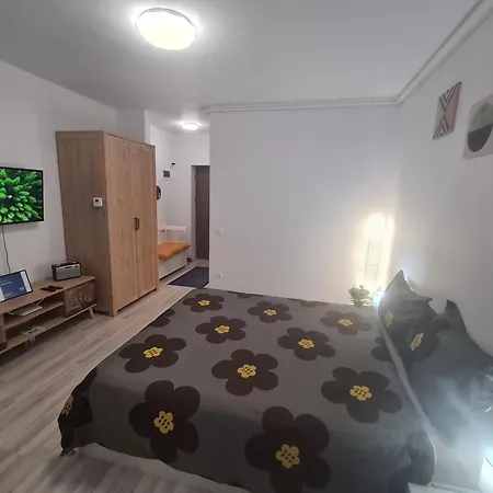 Siriului Studio-3