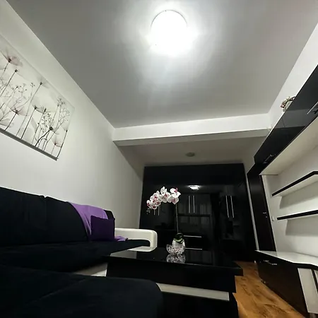 Nicolae Grigorescu Luxury Residence-2