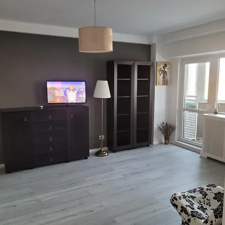 Superb 1Br Apartment With Air Conditioner-2