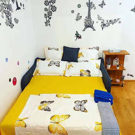Casa Andu Centru-2
