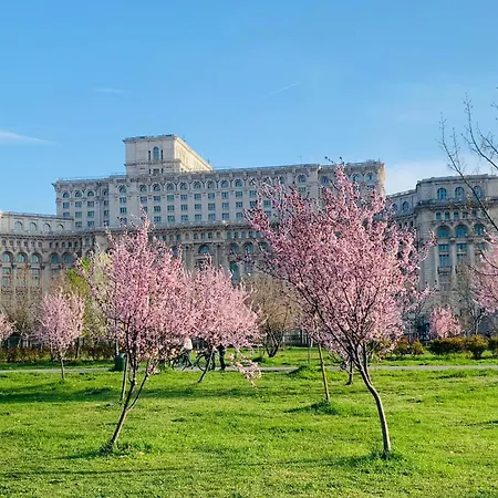 Chic Apartment Piata Constitutiei - Near The Palace Of Parliament-2