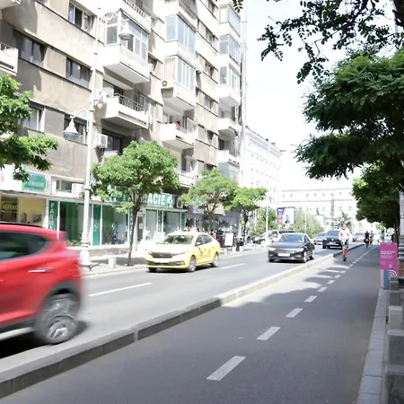 City Base I 2 BR apt Victoriei-2