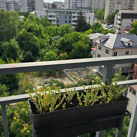 Cosy One Bedroom Apartment-2